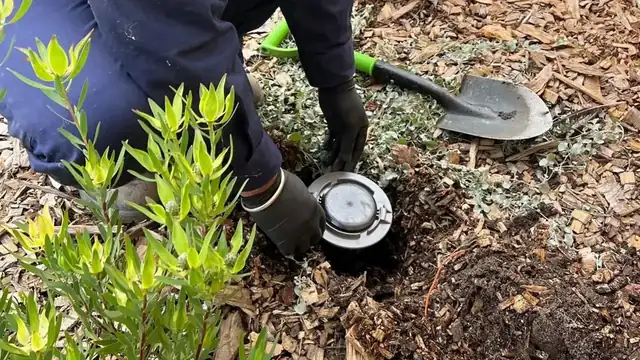 Termite Baiting