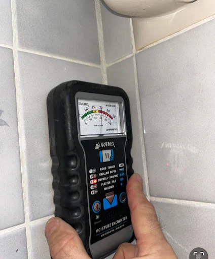 Termite monitors
