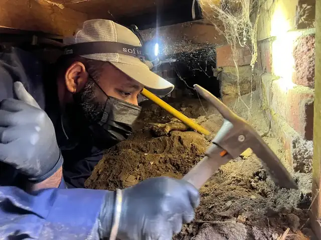 Termite Nest Removal