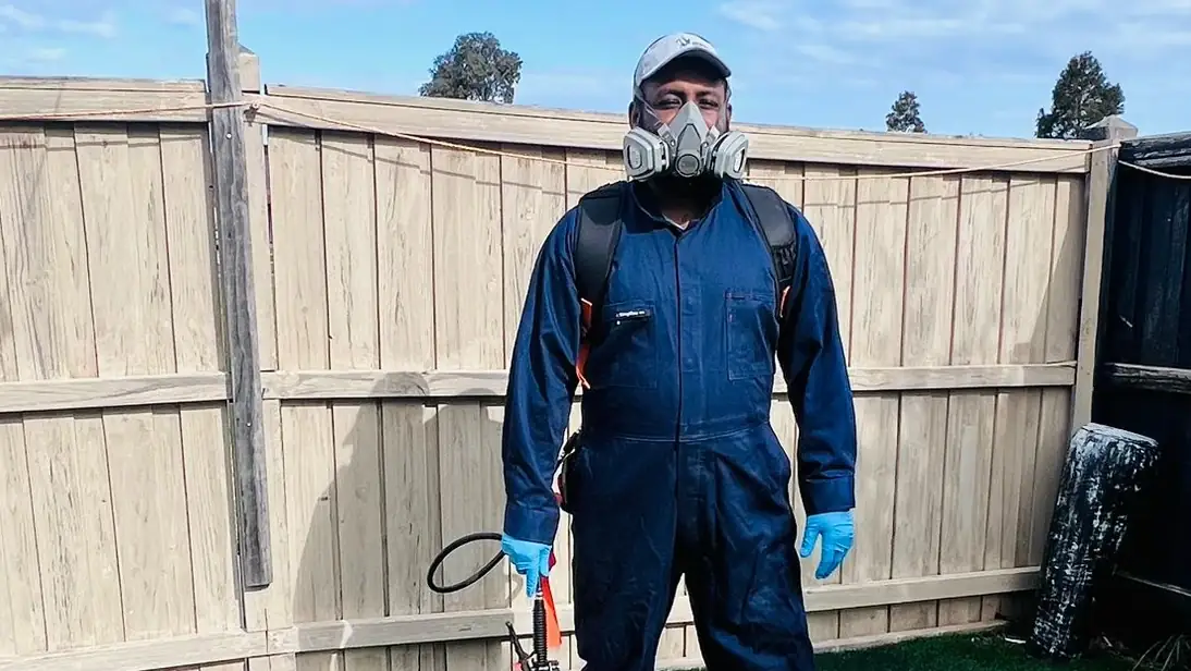 Termite technician in protective gear inspecting a timber fence line at a Melbourne property
